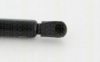 CHRYS 55113776AA Gas Spring, bonnet
